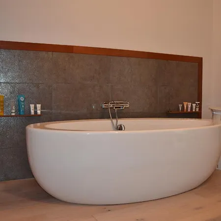 Loft St-emilion Apartament Saint-Émilion